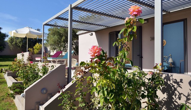 Alexandra's garden studio