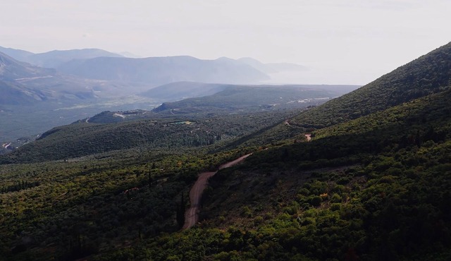 Aselinos Forest Estate
