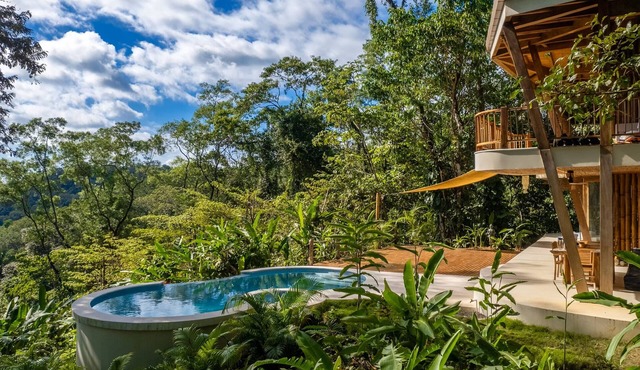 Bali Style Villa- Ocean view, AC, Salt water pool, amazing kitchen!
