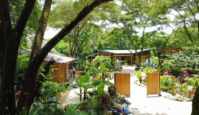Bamboo Surf House - Hostel