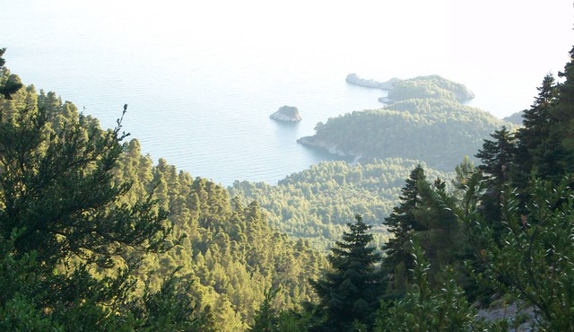 beautiful house inside forrest with sea view. Paradise