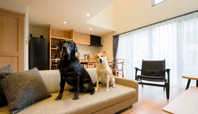 Building Dpets allowed maisonette with terrace and sauna/Kamogawa City Chiba