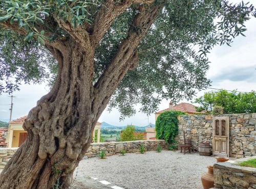 Calma Estate