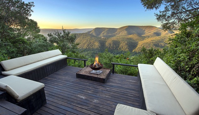 Camp Figtree