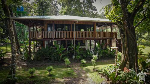 Casa Shec- An Oceanfront Jungle Retreat