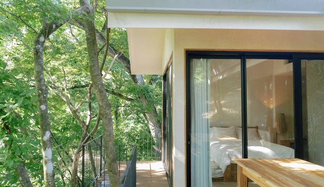 CASITA RAFIKI | SUSTAINABLE JUNGLE OASIS