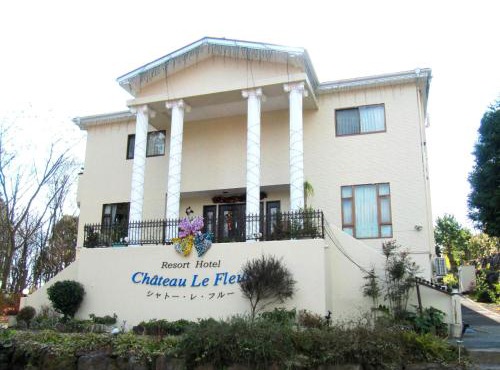 Chateau Le Fleur