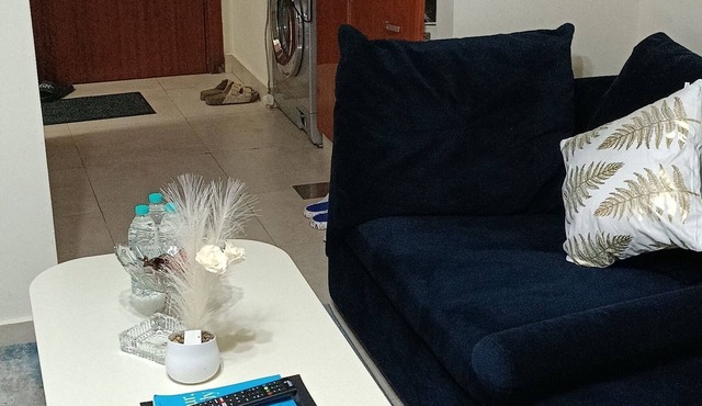 Chic 1-studio flat with WiFi and AC close to mall, park, metro