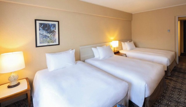 Deluxe Triple Room hotel with AC, fitness room, WiFi in amazing Minato City