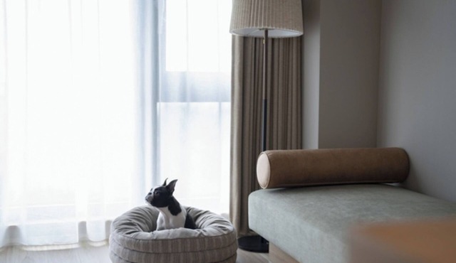 Dog room with ocean view Breakfast included to b/Ashigarashimo-gun Kanagawa