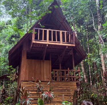 Entire Jungle Chalet Playa Ganadito
