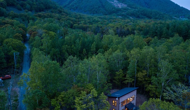 Forest Hideaway