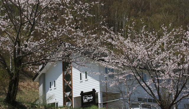 Guesthouse Hilltop