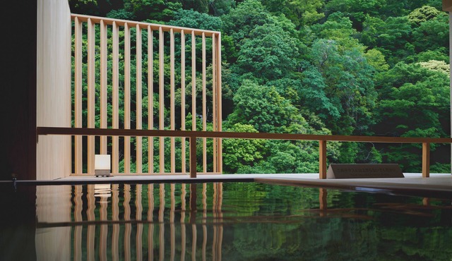 Hakone Pax Yoshino