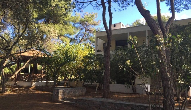 Homerez - Spacious Apartment in Anthidona, Sea View