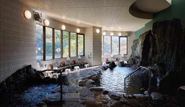 Hotel Hakuryuko Resort