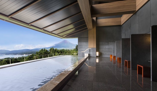 Hotel Mt. Fuji
