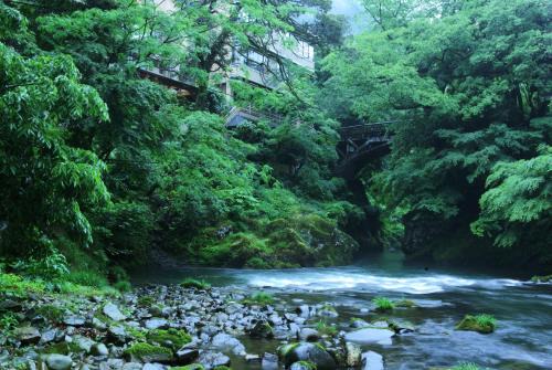 Koorogirou