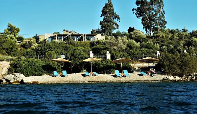 Lavender Cove