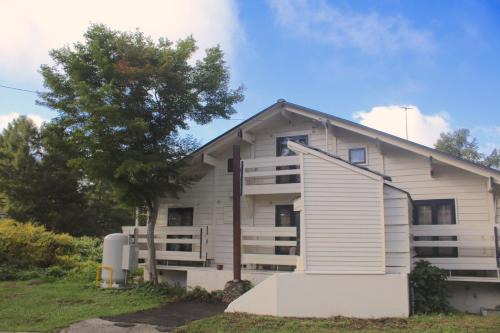 Maple House Backpackers