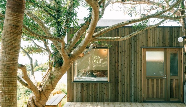 Ocean view cabin