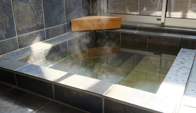 Onsen Hotel Holiday Afternoon