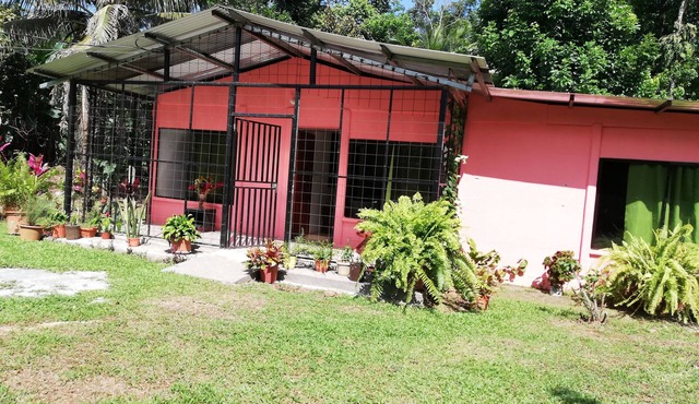 Paraíso Verde, pets are welcome.