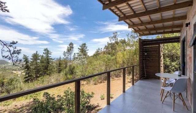 Pine Forest Retreat Cabin Verandah + Braai
