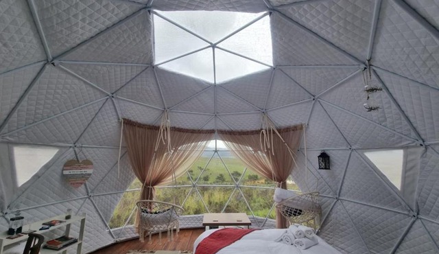 Pom Gratz - EcoDomes