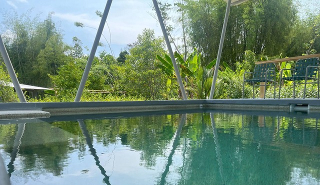 Queen bed studio cabin on permaculture farm w/pool