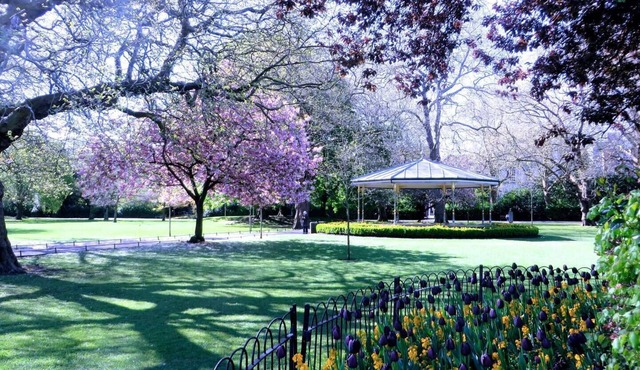 St Stephen Green Studio Apartment
