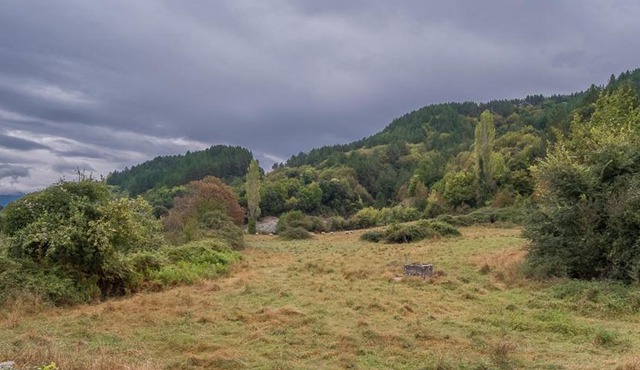 Stalisma