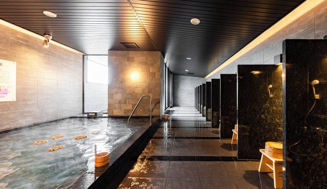 SUPER HOTEL Kirishima Natural Hot Spring