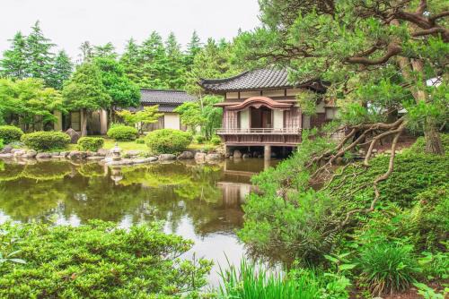 Tanakaya