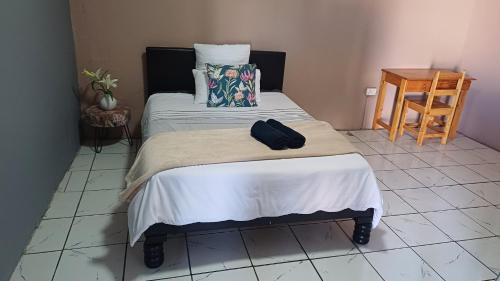 Temp Student Accomodation
