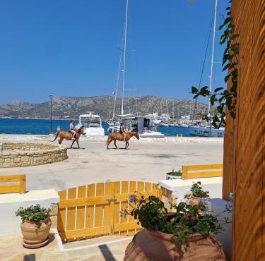 Thalassea house2 Lipsi