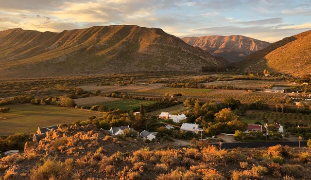 The Olive House, Prince Albert