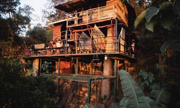The Treehouse