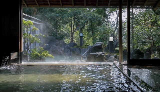 UNZEN HANZUIRYO