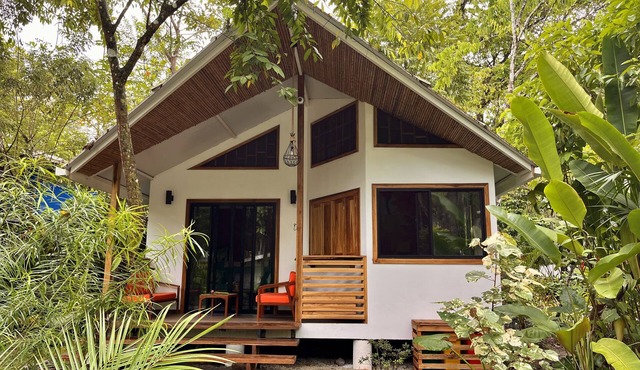 Villa Dragonfly Luxury Beachfront Villa just steps away from the beach!