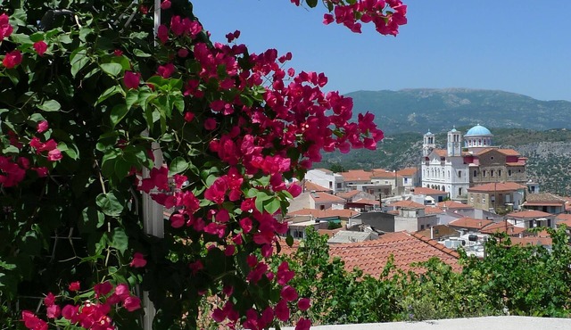 Village home, terraces, garden, gorgeous views, 15 min to beach