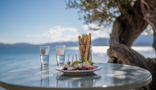 Waterfront Luxury Stone-built 72sqm Villa in Olive Grove