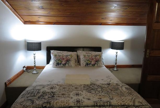 Spruce 