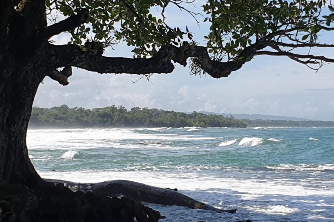 Cahuita House | Casa Clia