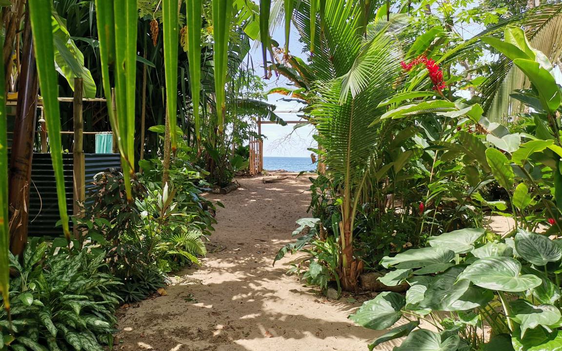 Photo of Others in Puerto Viejo de Talamanca