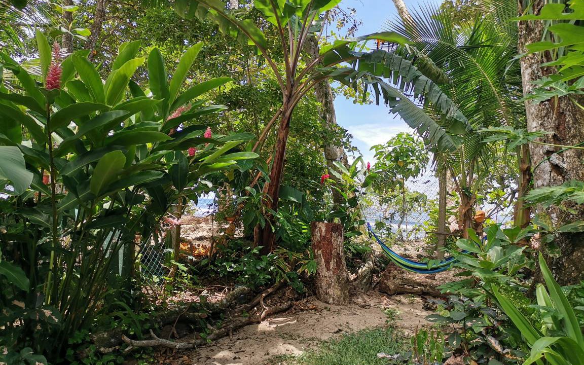 Photo of Outdoor in Puerto Viejo de Talamanca