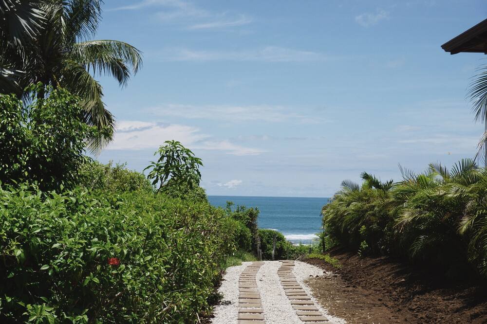 Photo of Others in Playa Negra