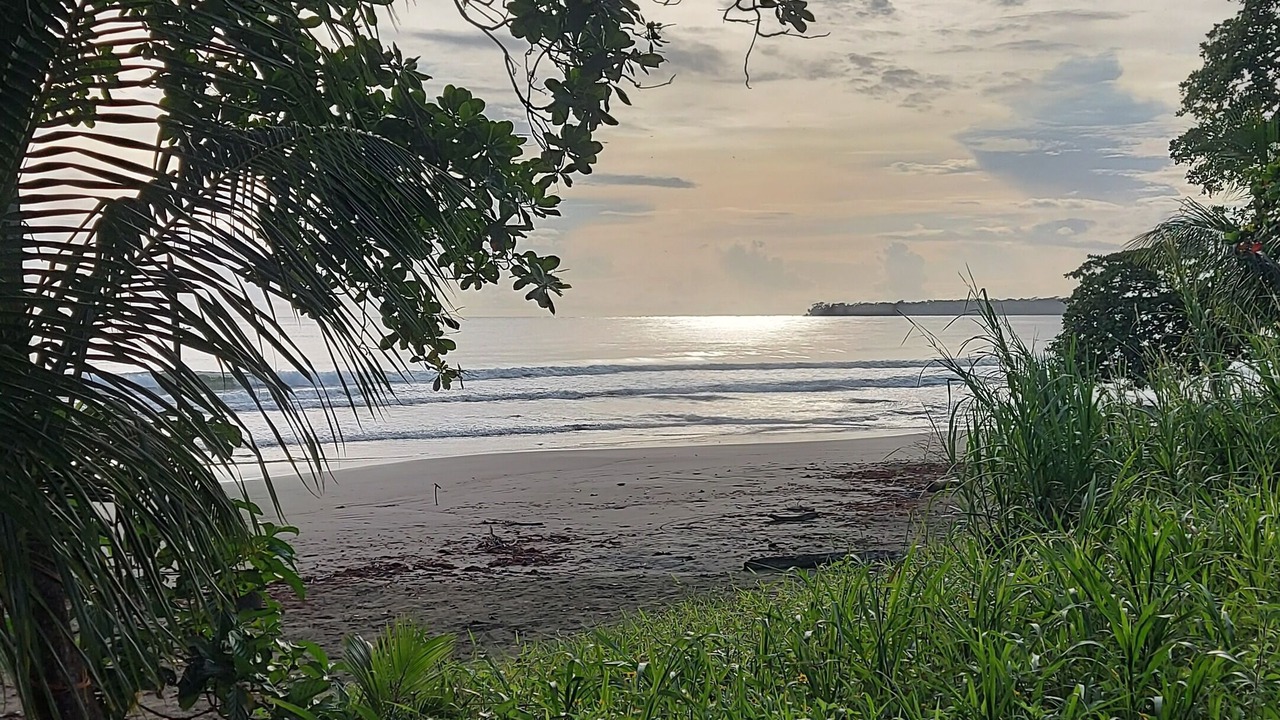 Photo of Others in Cahuita
