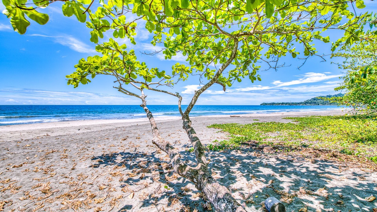 Photo of Outdoor in Puerto Viejo de Talamanca