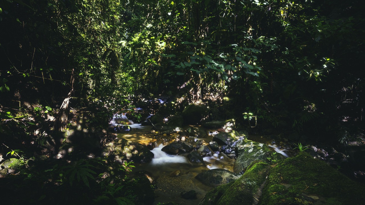 Photo of Outdoor in Arenal Hot Springs